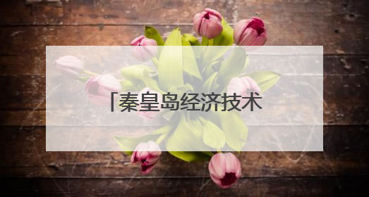 秦皇岛经济技术开发区：制造业向智能向高端攀升