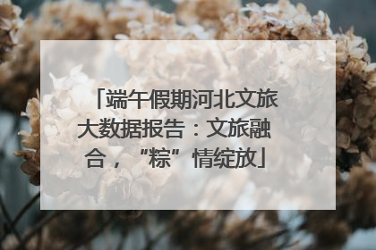 端午假期河北文旅大数据报告：文旅融合，“粽”情绽放