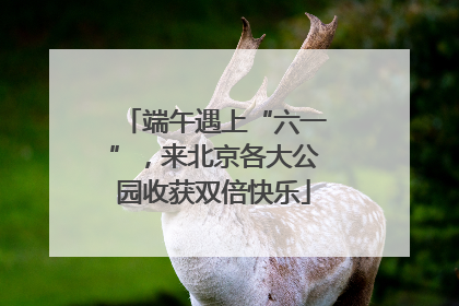 端午遇上“六一”，来北京各大公园收获双倍快乐