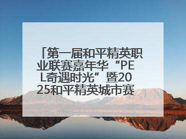 第一届和平精英职业联赛嘉年华“PEL奇遇时光”暨2025和平精英城市赛总决赛盛大启幕