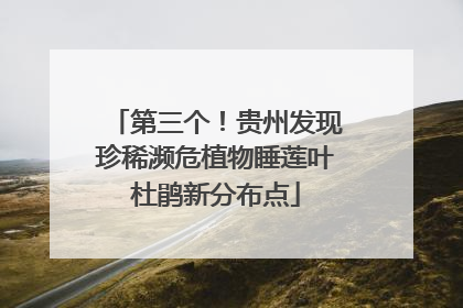 第三个！贵州发现珍稀濒危植物睡莲叶杜鹃新分布点