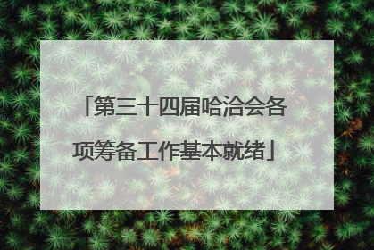 第三十四届哈洽会各项筹备工作基本就绪