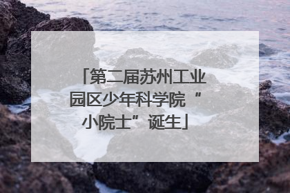 第二届苏州工业园区少年科学院“小院士”诞生