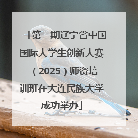 第二期辽宁省中国国际大学生创新大赛（2025）师资培训班在大连民族大学成功举办
