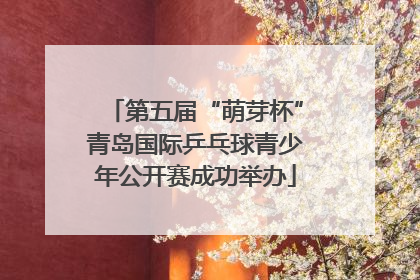 第五届“萌芽杯”青岛国际乒乓球青少年公开赛成功举办