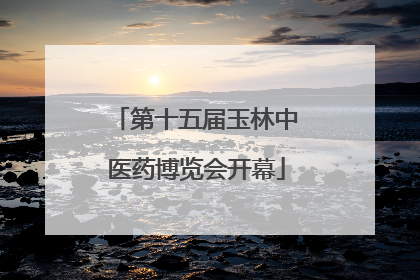 第十五届玉林中医药博览会开幕
