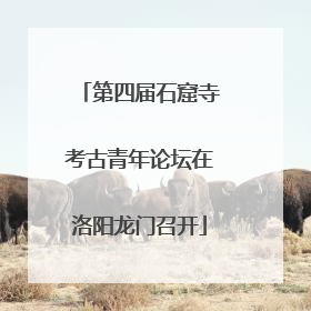 第四届石窟寺考古青年论坛在洛阳龙门召开