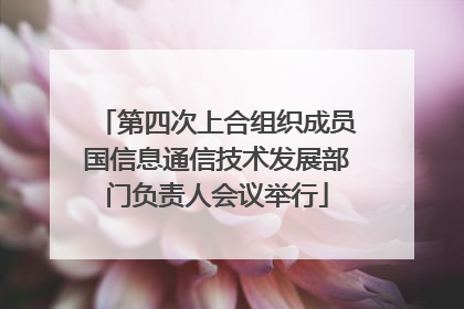 第四次上合组织成员国信息通信技术发展部门负责人会议举行