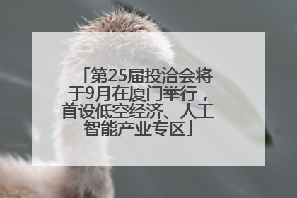 第25届投洽会将于9月在厦门举行，首设低空经济、人工智能产业专区