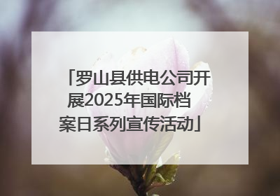 罗山县供电公司开展2025年国际档案日系列宣传活动