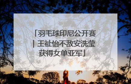 羽毛球印尼公开赛｜王祉怡不敌安洗莹 获得女单亚军