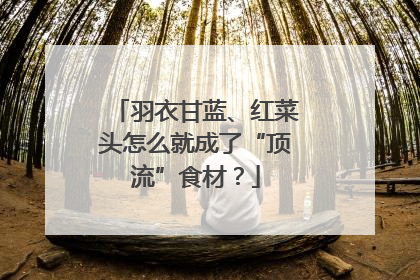羽衣甘蓝、红菜头怎么就成了“顶流”食材？