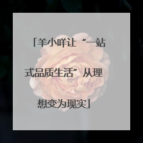 羊小咩让“一站式品质生活”从理想变为现实