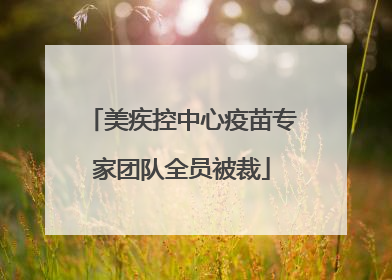美疾控中心疫苗专家团队全员被裁