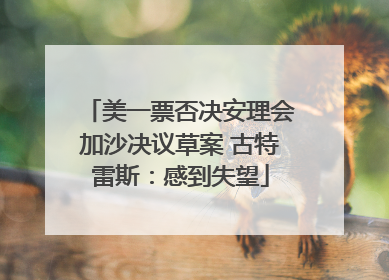 美一票否决安理会加沙决议草案 古特雷斯：感到失望
