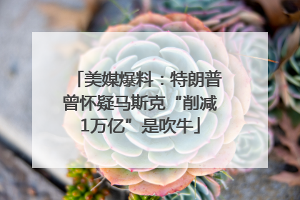 美媒爆料：特朗普曾怀疑马斯克“削减1万亿”是吹牛