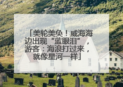 美轮美奂！威海海边出现“蓝眼泪”，游客：海浪打过来，就像星河一样