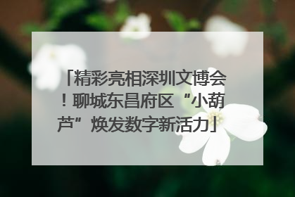 精彩亮相深圳文博会！聊城东昌府区“小葫芦”焕发数字新活力
