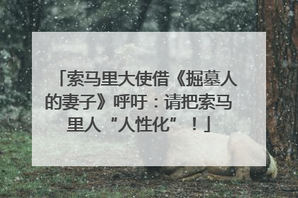 索马里大使借《掘墓人的妻子》呼吁：请把索马里人“人性化”！