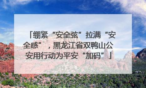 绷紧“安全弦”拉满“安全感”，黑龙江省双鸭山公安用行动为平安“加码”