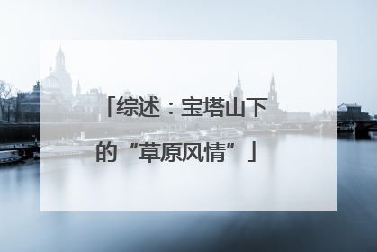 综述：宝塔山下的“草原风情”