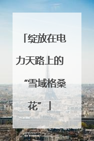绽放在电力天路上的“雪域格桑花”