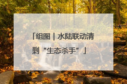 组图｜水陆联动清剿“生态杀手”