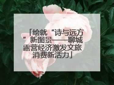 绘就“诗与远方”新图景——聊城露营经济激发文旅消费新活力