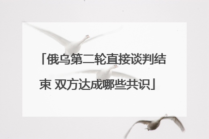 俄乌第二轮直接谈判结束 双方达成哪些共识