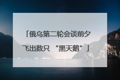 俄乌第二轮会谈前夕 飞出数只 “黑天鹅”