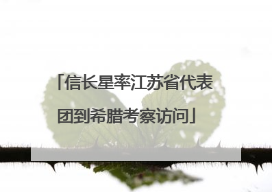 信长星率江苏省代表团到希腊考察访问