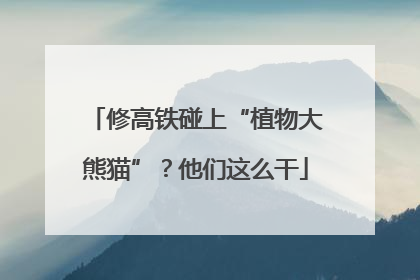 修高铁碰上“植物大熊猫”？他们这么干