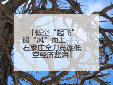 低空“起飞” 迎“风”而上——石家庄全力竞逐低空经济蓝海