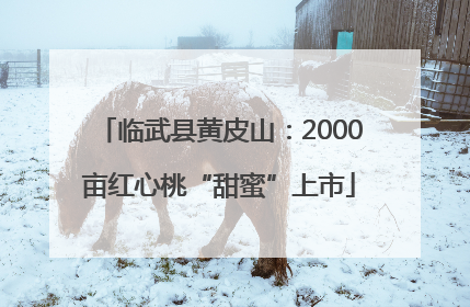 临武县黄皮山：2000亩红心桃“甜蜜”上市