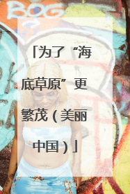 为了“海底草原”更繁茂（美丽中国）