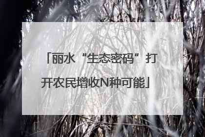 丽水“生态密码”打开农民增收N种可能