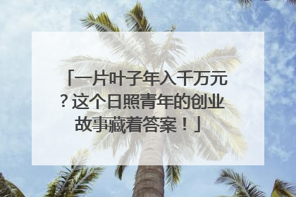 一片叶子年入千万元？这个日照青年的创业故事藏着答案！
