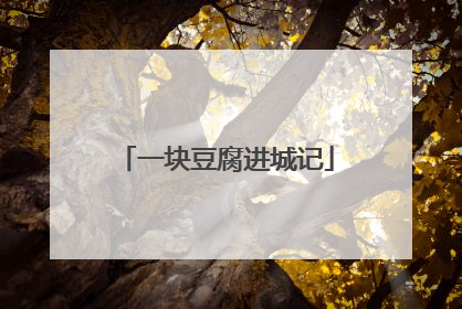 一块豆腐进城记