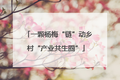一颗杨梅“链”动乡村“产业共生圈”