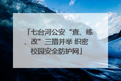 七台河公安“查、练、改”三措并举 织密校园安全防护网