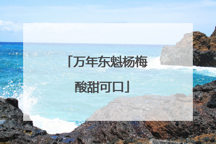 万年东魁杨梅 酸甜可口