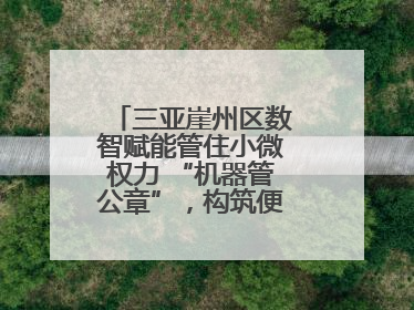 三亚崖州区数智赋能管住小微权力 “机器管公章”，构筑便民服务新生态