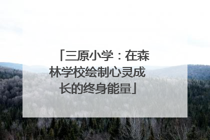 三原小学：在森林学校绘制心灵成长的终身能量