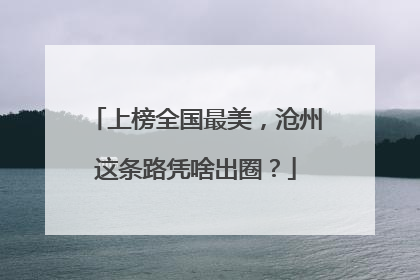 上榜全国最美，沧州这条路凭啥出圈？
