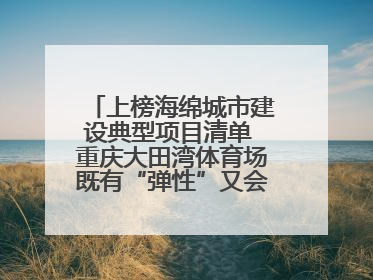 上榜海绵城市建设典型项目清单 重庆大田湾体育场既有“弹性”又会“呼吸”