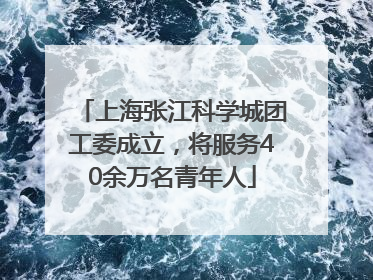 上海张江科学城团工委成立，将服务40余万名青年人