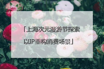 上海次元漫游节探索以IP重构消费场景