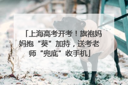 上海高考开考！旗袍妈妈抱“葵”加持，送考老师“兜底”收手机