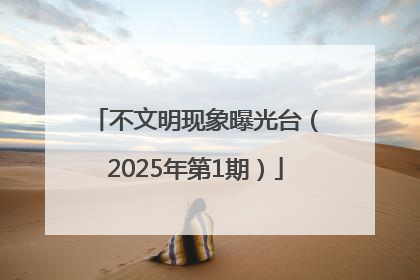 不文明现象曝光台（2025年第1期）
