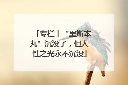 专栏丨“里斯本丸”沉没了，但人性之光永不沉没